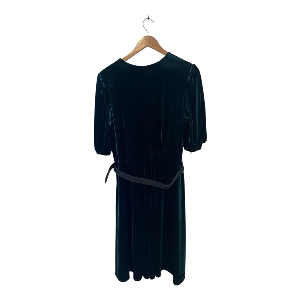 Lane Bryant | Velvet Dress - Picture 4 of 4